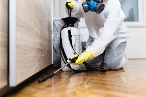 Best Local Pest Control Services  in Preston, TX