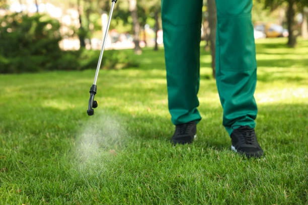 Best Best Pest Control Companies  in Preston, TX