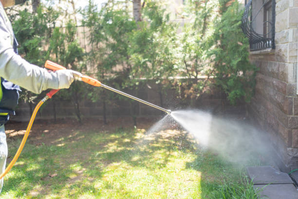 Best Affordable Pest Control Services  in Preston, TX