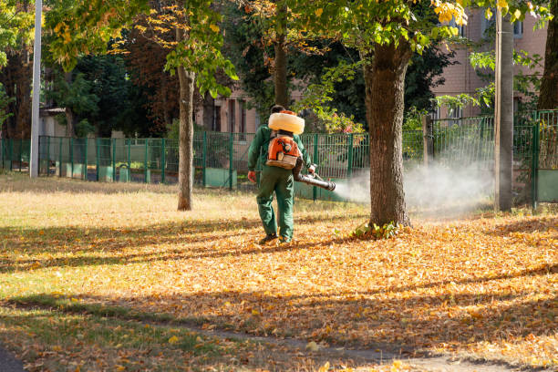 Best Pest Removal Services  in Preston, TX