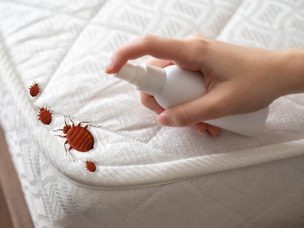 Professional Pest Control in Preston, TX