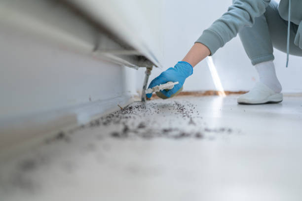 Best Pest Control Treatment  in Preston, TX