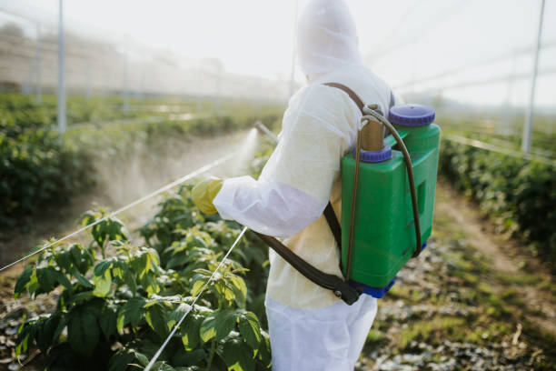 Best Commercial Pest Control Services  in Preston, TX
